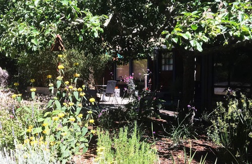 Freestone Apartment | Cozy and Charming Apple Blossom Retreat—Relax with Nature