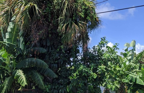 Palm Beach - West Palm Beach House | Cozy and convenient duplex in West Palm Beach