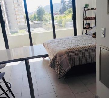 Temuco Apartment | Cozy and modern studio