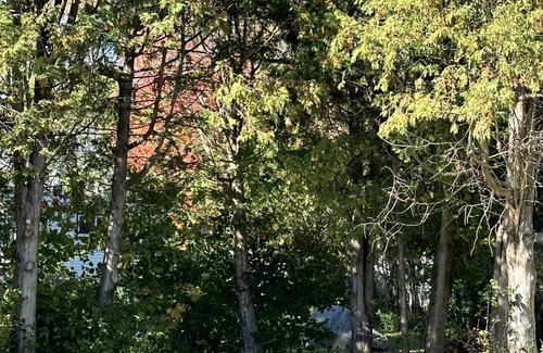 Rhinelander House | Cozy and Quaint 1-bedroom home close to hospitals in Rhinelander