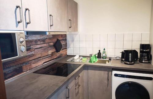 Dessau-Rosslau Apartment | Cozy Apartment in Dessau-Roßlau