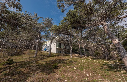Bosana Apartment | Cozy apartment in Novalja with WiFi