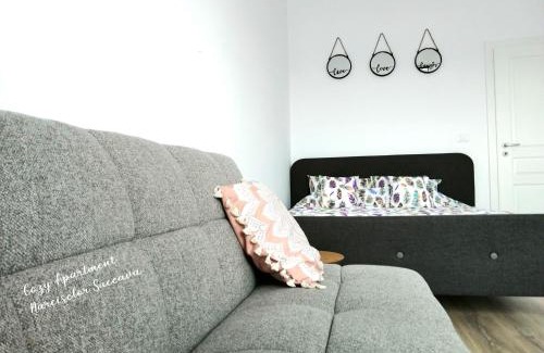 Suceava Apartment | Cozy Apartment Narciselor Suceava