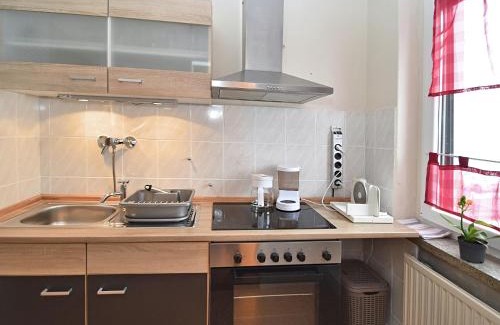 Tannenbergsthal Apartment | Cozy Apartment Near Ski, cleaning included