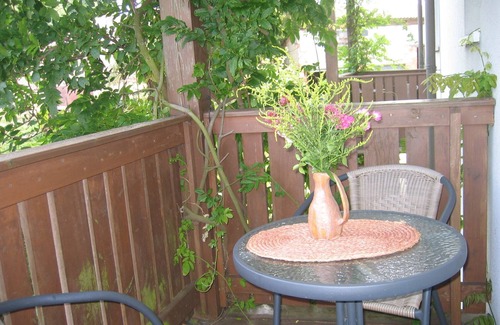 Burgpreppach Apartment | Cozy apartment with balcony