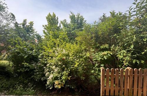 Graz Apartment | Cozy Apartment with Garden in Graz Free Parking