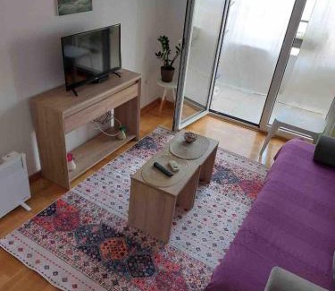 Golubovina Apartment | Cozy Apartment with Private Garage - Walk to City Center