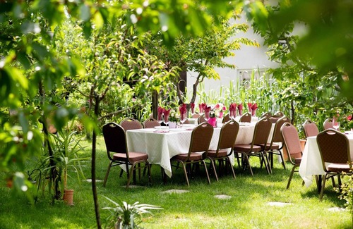 Ciolpani Bed & Breakfast | Cozy B&B next to the forest ,10 minutes to Dracula`s monastery !