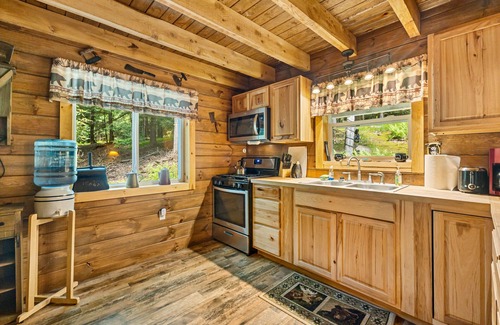 Clarington Cabin | Cozy Bear Cabin in Cook Forest 2 miles from the Clarion River!