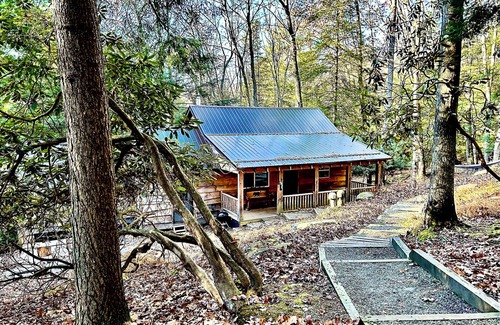 Clarington Cabin | Cozy Bear Cabin in Cook Forest 2 miles from the Clarion River!