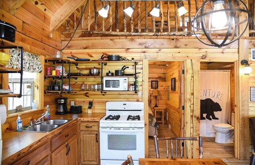 Leeper Cabin | Cozy Bear Log Cabin near Cook Forest State Park