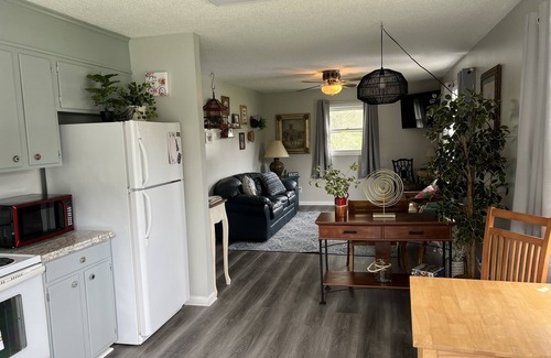 Bristol Apartment | Cozy Bristol Jungalow Apartment- 2 blocks from King College - 2 bd/1 bath