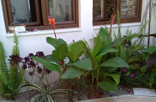 Province of Cagliari Apartment | Cozy budget mini apartments in Quartu Sant'Elena 2 km from Poetto Beach