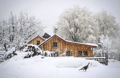 New Castle Cabin | Cozy Bunkhouse and Creekside Sauna Cabin next to the National Forest.