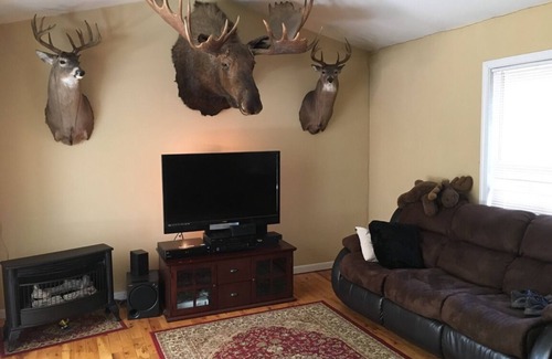 Asheville House | Cozy But Yet So Convient 3Bed 2Bath
