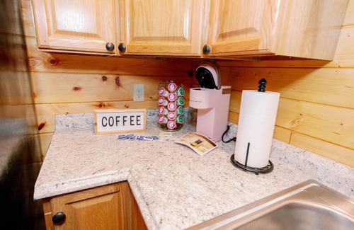 Roan Mountain Cabin | Cozy Cabin #2 - 4 Wheel Drive highly recommended during Winter