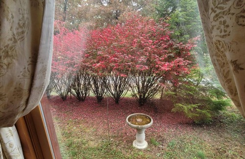 Columbus Cabin | Cozy cabin in charming Columbus. Minutes from Equestrian Center, vineyards etc.