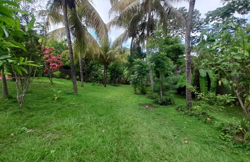 Masaya Apartment | Cozy cabin in quaint Masaya with AC. 25 min from Managua