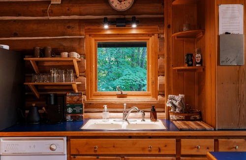 Boyne City Cabin | Cozy Cabin in the Forest close to skiing and Lake Charlevoix