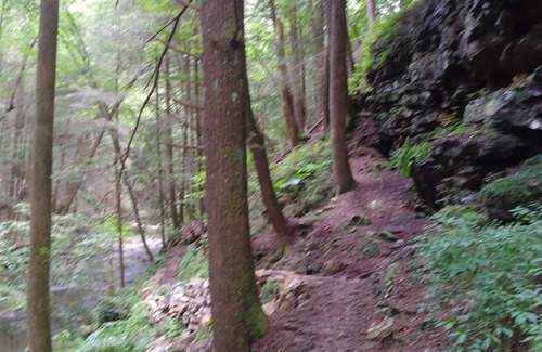 Sequatchie Cabin | Cozy cabin in the mountains with hiking trails and gorgeous waterfalls close by!