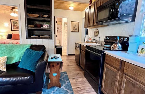 Roan Mountain Cabin | Cozy Cabin in the Woods Hammock Private