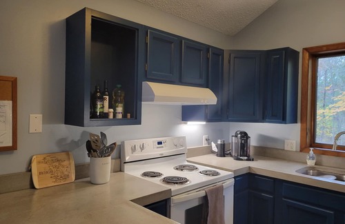 Elmira Cabin | Cozy Cabin in the Woods with a Short walk to the Lake, ORV Trails, and Skiing!