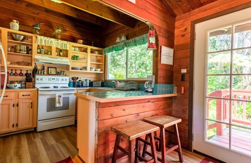 Volcano Cabin | Cozy Cabin in Volcano Village minutes from Volcano Park entrance.