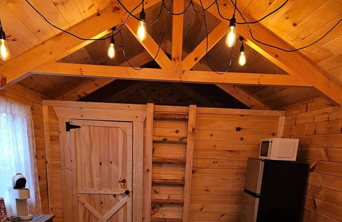 Old Shawneetown Cabin | Cozy cabin located in historic Old Shawneetown!