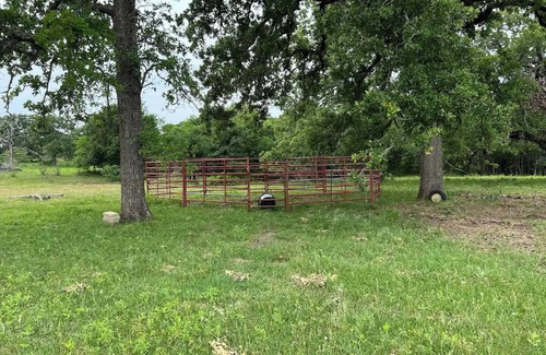 Thrall Cabin | Cozy cabin located on 168 acres of quiet country living.