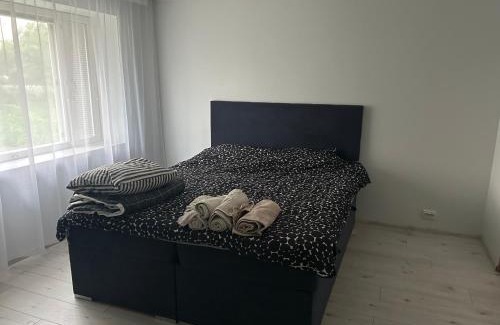 Mustvee Apartment | Cozy cabin near Peipsi