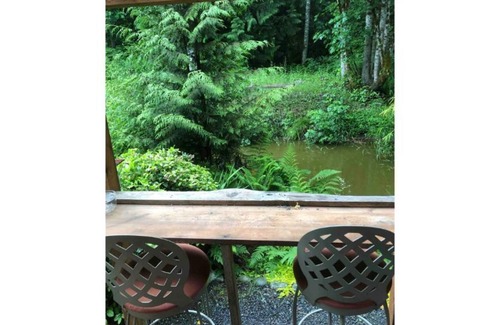 Adelma Beach Cabin | Cozy Cabin Nestled In Magical Olympic Old Growth