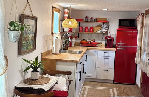 Citrus Springs Cabin | Cozy cabin on 10 acre farm with horses, chickens, cats, dog & gardens