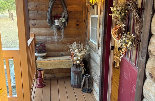 Citrus Springs Cabin | Cozy cabin on 10 acre farm with horses, chickens, cats, dog & gardens