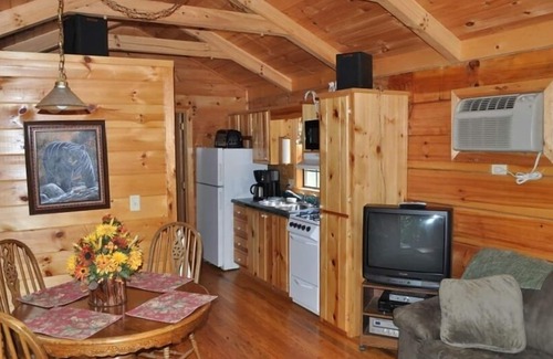 Asheville Cabin | Cozy Cabin on Blue Ridge Pwy & MTS Trl with hot tub, only 15min from downtown