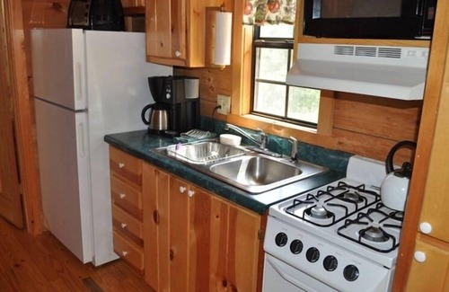Asheville Cabin | Cozy Cabin on Blue Ridge Pwy & MTS Trl with hot tub, only 15min from downtown