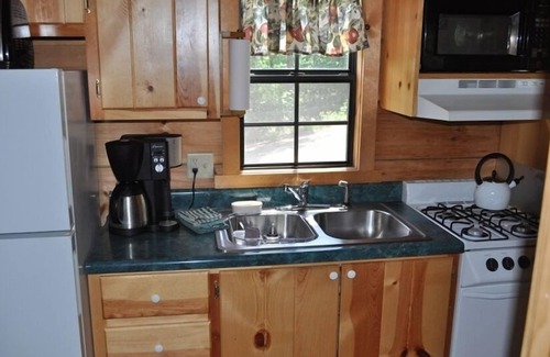 Asheville Cabin | Cozy Cabin on Blue Ridge Pwy & MTS Trl with hot tub, only 15min from downtown
