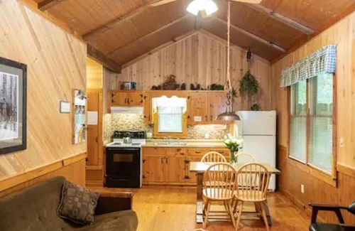 Dahlonega House | Cozy Cabin: River View with Hot Tub