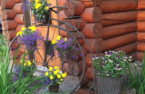 Fairbanks Cabin | Cozy Cabin w/gas fireplacen. Great location in town. On city bus line.