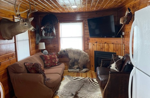 Rapid River Cabin | Cozy Cabin with beautiful view of Lake Michigan. Pet Friendly