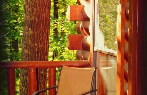 Octavia Cabin | Cozy Cabin with Fire Pit pavilion near boat ramp