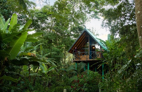 Imarui Cabin | Cozy Cabin with Private Waterfall