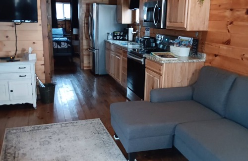 Ashtabula Cabin | Cozy cabin with views of Lake Erie and colorful sunsets!