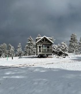 Williams Ski Chalet | Cozy Cabins with a mountain view 2A