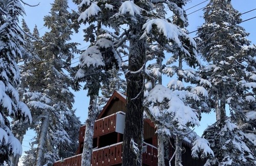 Courtenay Ski Chalet | Cozy Chalet in the Heart of the Apline Village