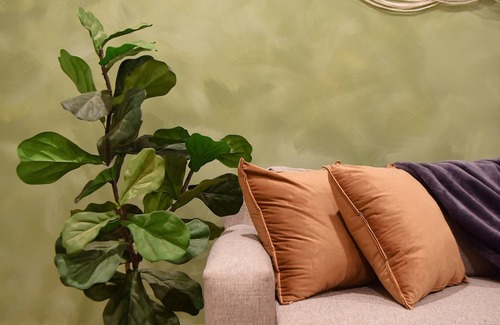 Cherry Creek House | Cozy Cherry Creek Basement Suite with Private Entrance