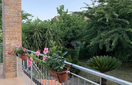Stella Cilento Apartment | Cozy, comfortable, surrounded by greenery in the historic center