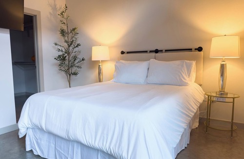 East Cesar Chavez Apartment | Cozy condo in Austin short walk to Convention Center