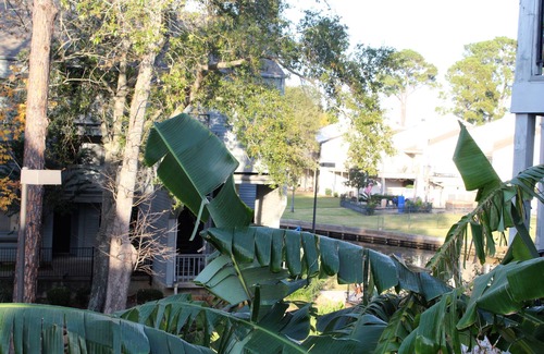 Walden on Lake Conroe Condo | Cozy Condo on Lake Conroe
