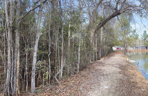 Phenix City Cottage | Cozy Cottage by the lake!