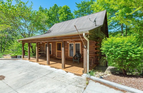 Vein Mountain Cabin | Cozy Cove Cabin | Pet Friendly & Creek Access